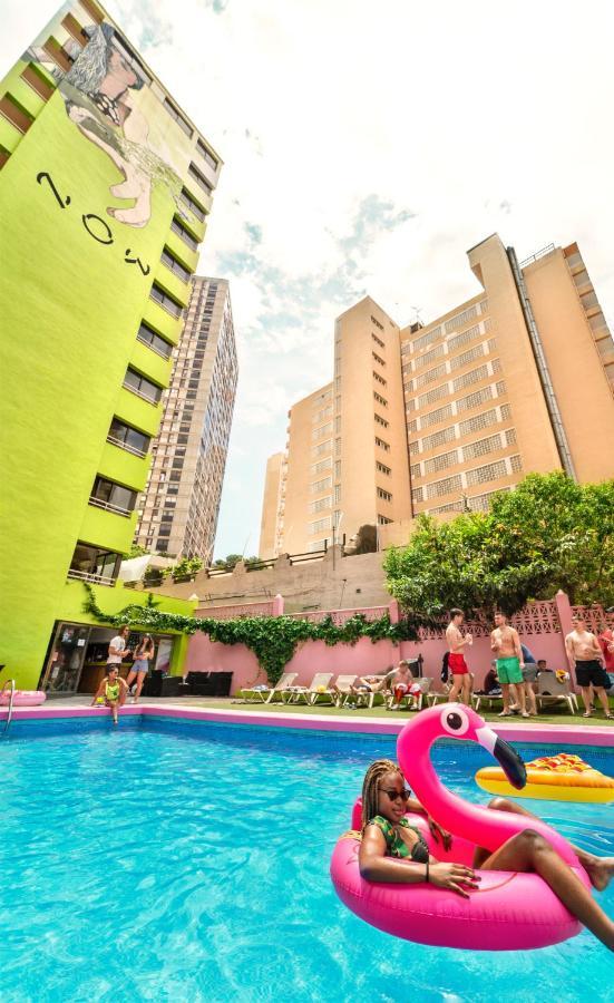 Now Benidorm Lägenhet Exteriör bild